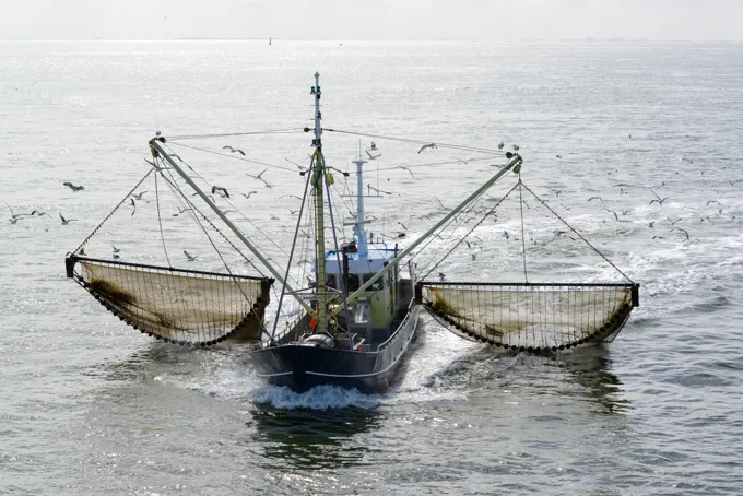 Fisheries Article Crabbing Boat Split Second Stock Shutterstock
