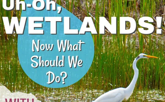 Wetlands Podcast Image 4423