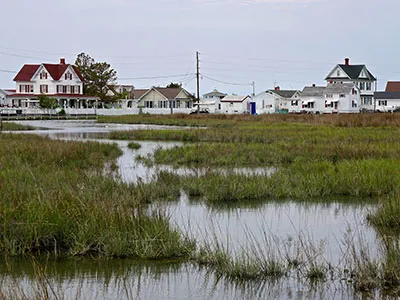 Neighborhood Homes On The Water