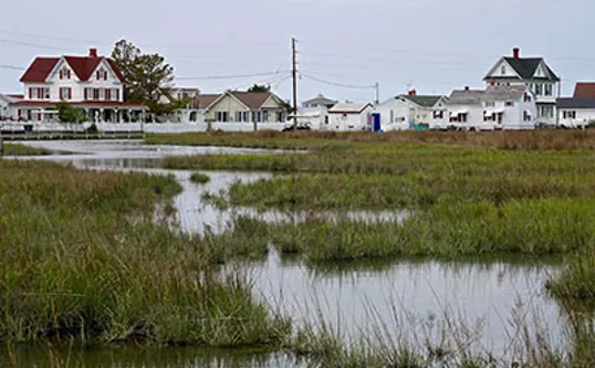 Neighborhood Homes On The Water