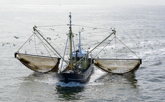 Fisheries Article Crabbing Boat Split Second Stock Shutterstock