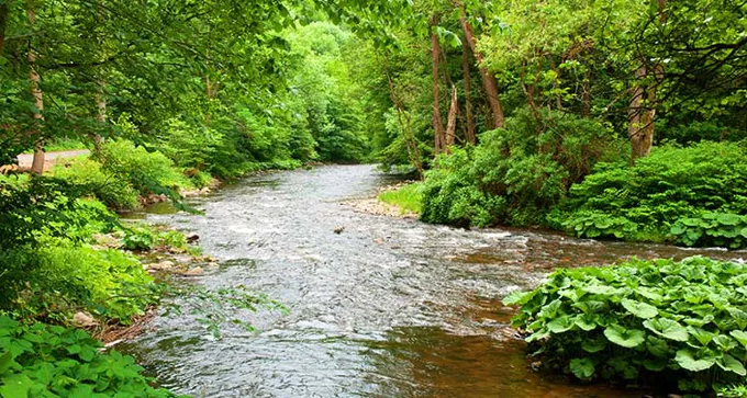 Flowing Stream