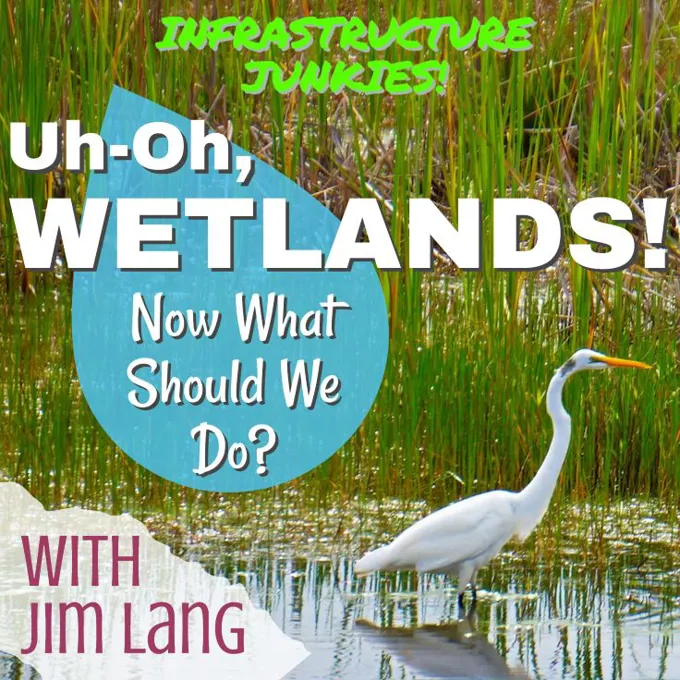 Wetlands Podcast Image 4423