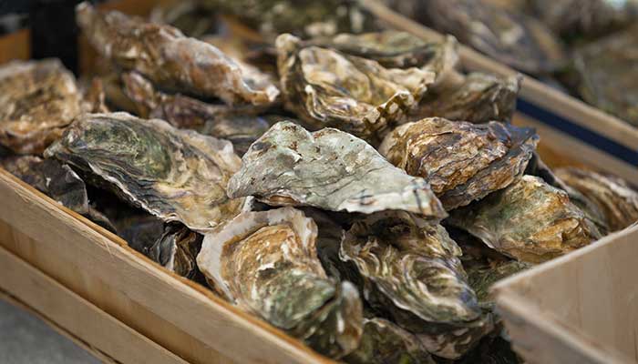 Oyster Crates