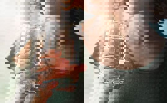 Alina Kruk Shutterstock 1292227048