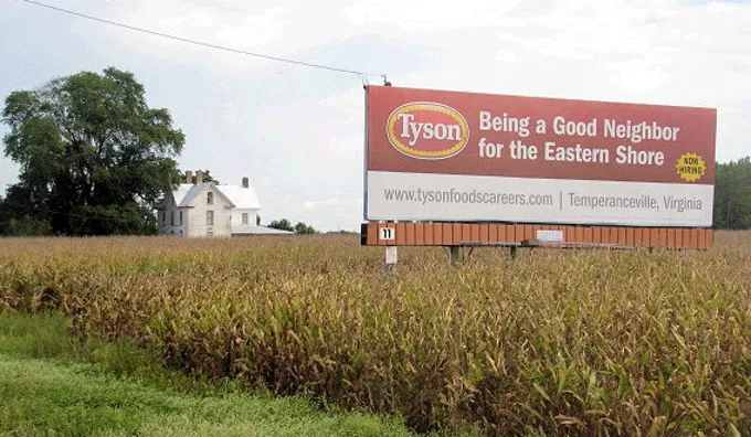 Chicken Tyson Sign