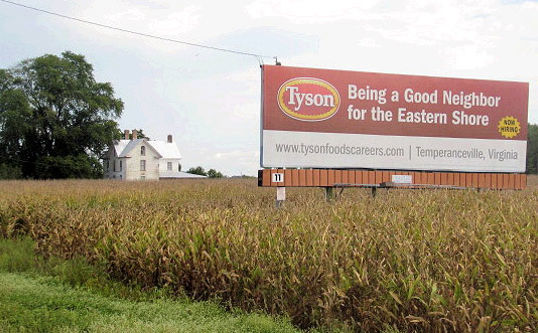 Chicken Tyson Sign