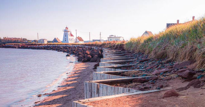 Gareth Janzen Shutterstock