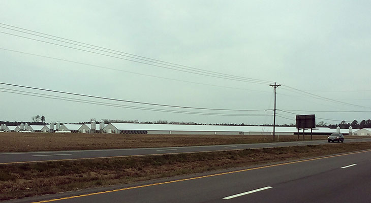 Farm Fields in the country