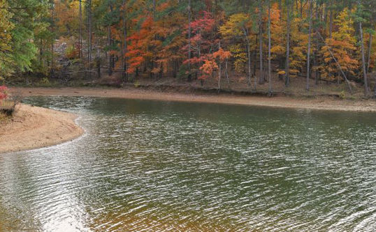 Jeri Bland Shutterstock 1772125091