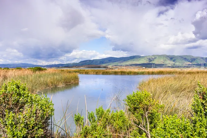 Sundry Photography Shutterstock