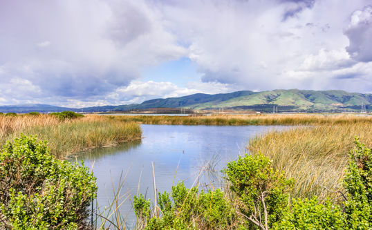 Sundry Photography Shutterstock