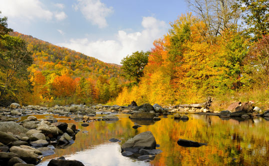 Junej Shutterstock 22123