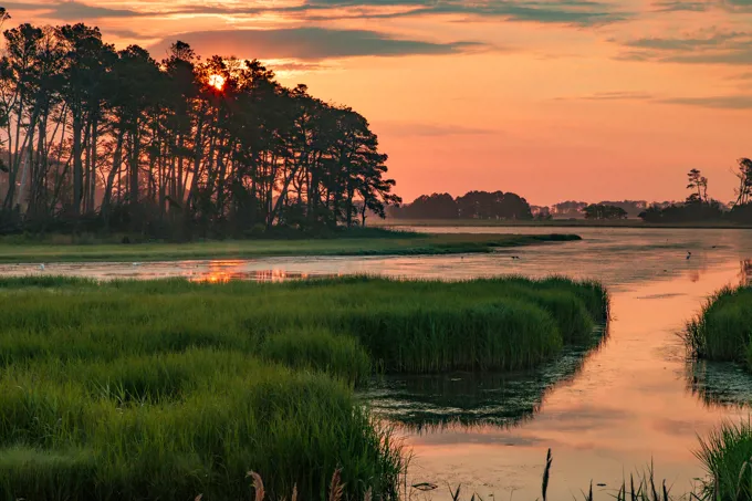 Wetlands 2022 Article Paul Brady Photography Shutterstock 1031128801